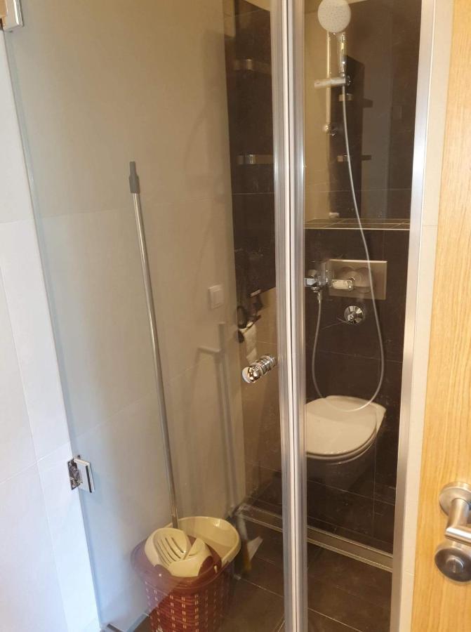Vila Irina - Apartman Milos Kopaonik Eksteriør billede