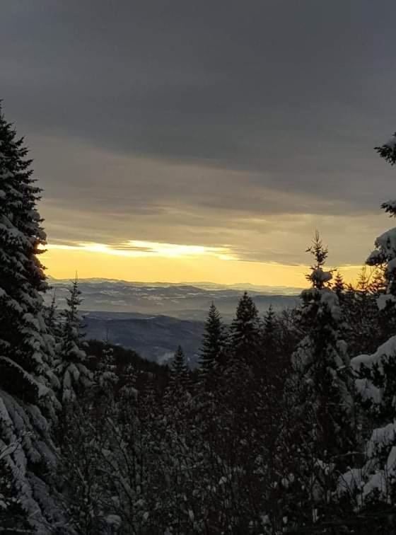 Vila Irina - Apartman Milos Kopaonik Eksteriør billede