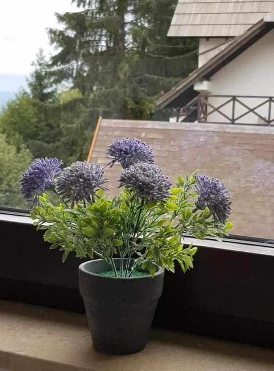 Vila Irina - Apartman Milos Kopaonik Eksteriør billede