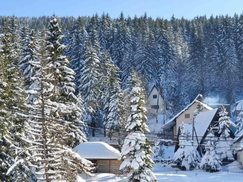 Vila Irina - Apartman Milos Kopaonik Eksteriør billede