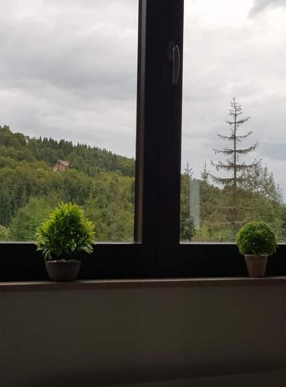 Vila Irina - Apartman Milos Kopaonik Eksteriør billede