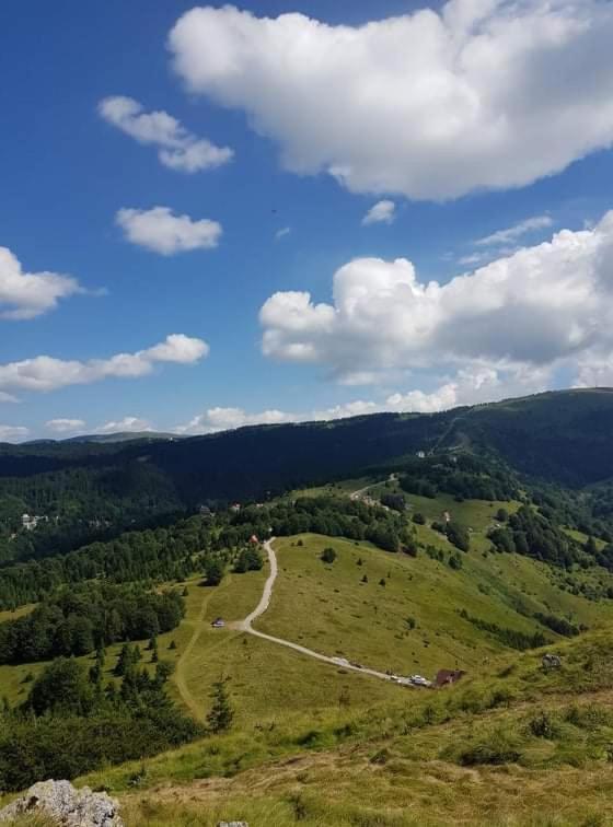 Vila Irina - Apartman Milos Kopaonik Eksteriør billede