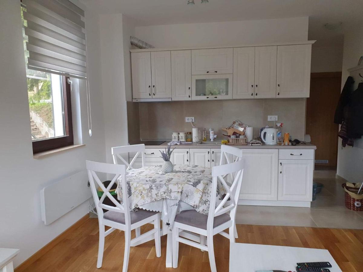 Vila Irina - Apartman Milos Kopaonik Eksteriør billede